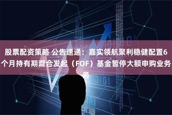 股票配资策略 公告速递：嘉实领航聚利稳健配置6个月持有期混合发起（FOF）基金暂停大额申购业务