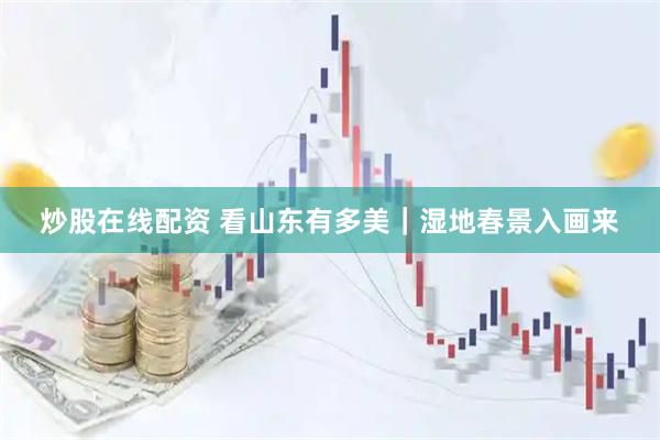 炒股在线配资 看山东有多美｜湿地春景入画来